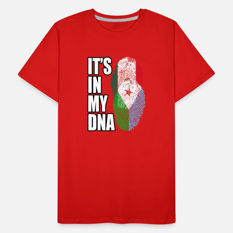 Djiboutian And Mexican Mix Heritage DNA Flag